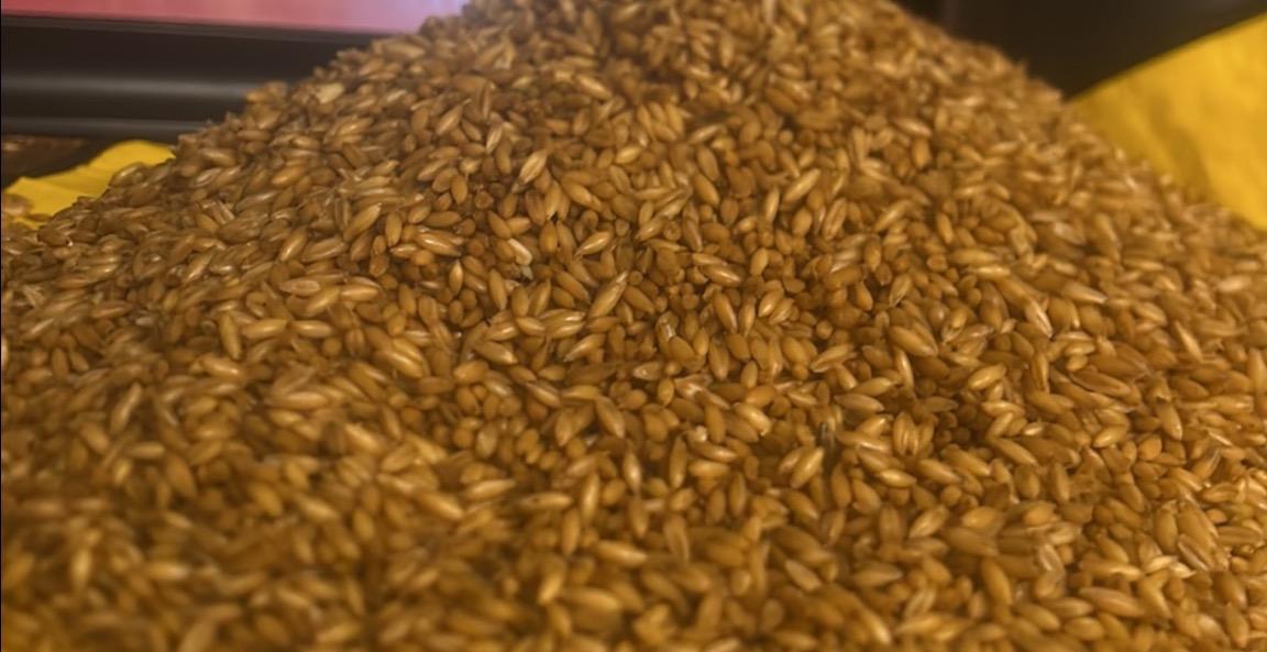 Grain Prep