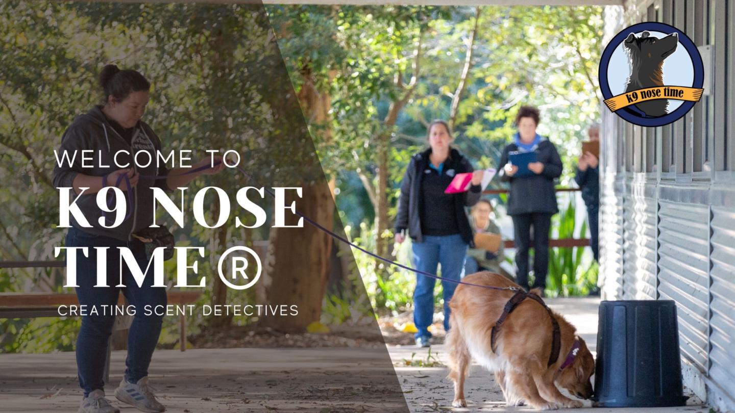 K9 Nose Time: Scent Work