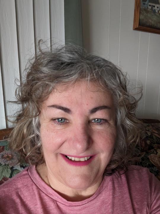 Lisa Perini