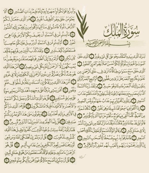 Abdulrahman Alshammari