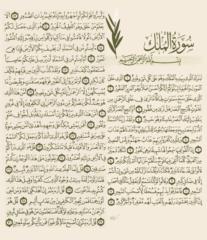 Abdulrahman Alshammari