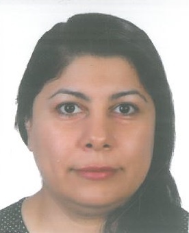 Akram Darzi