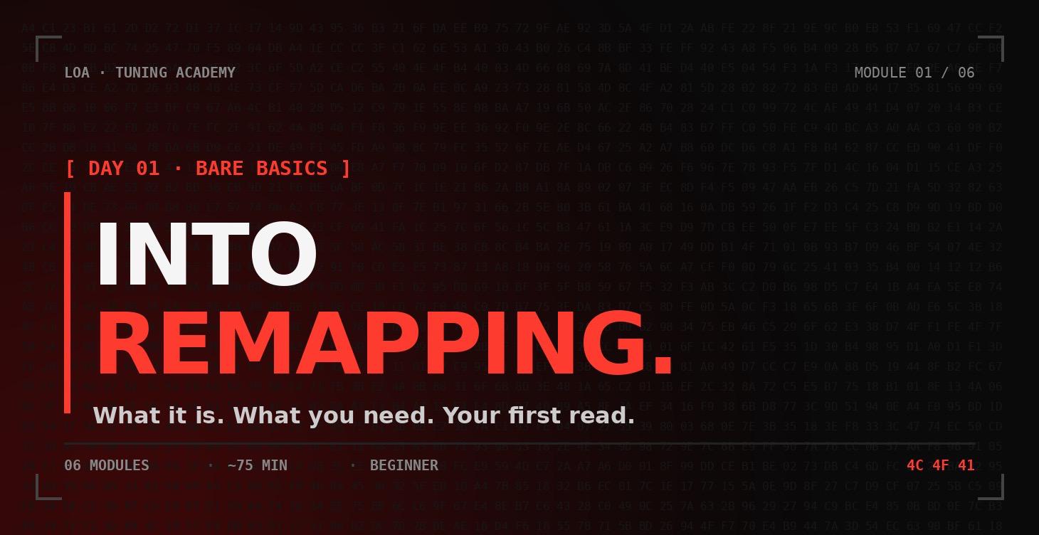 Into remapping