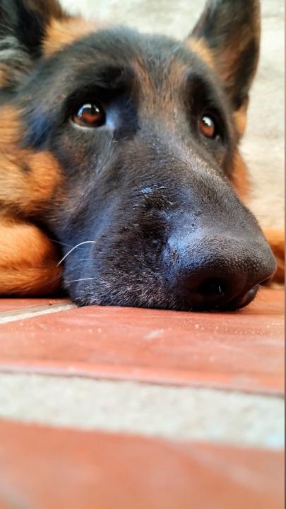 Mauricio Frison barbero