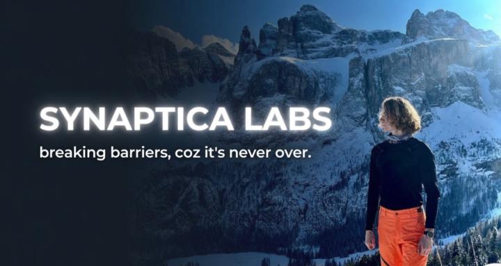 Synaptica Labs School