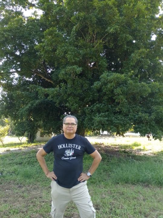 Celso Ramos cruz