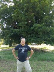 Celso Ramos cruz