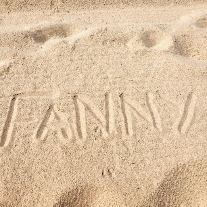 Fanny Pro