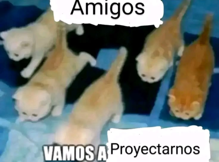 Nunca había estado de este lado de la situación.