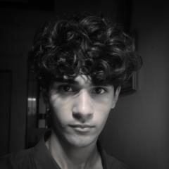 Aaditya Sonesar