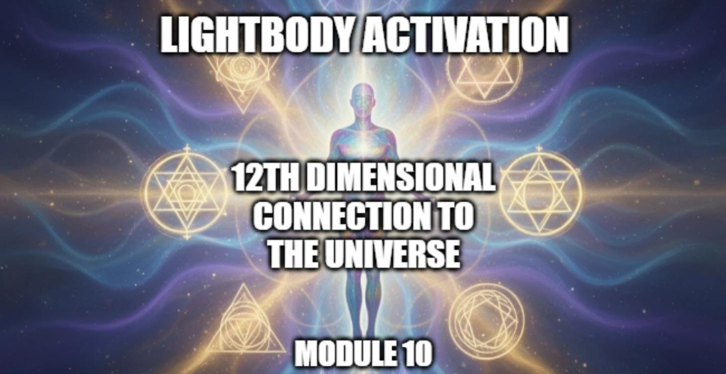 12th Dimension Universal Grid Hook Up Module 10
