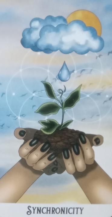 Oracle Card Energy for the Week 🎴