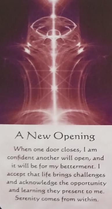 Oracle Card Energy for the Week 🎴