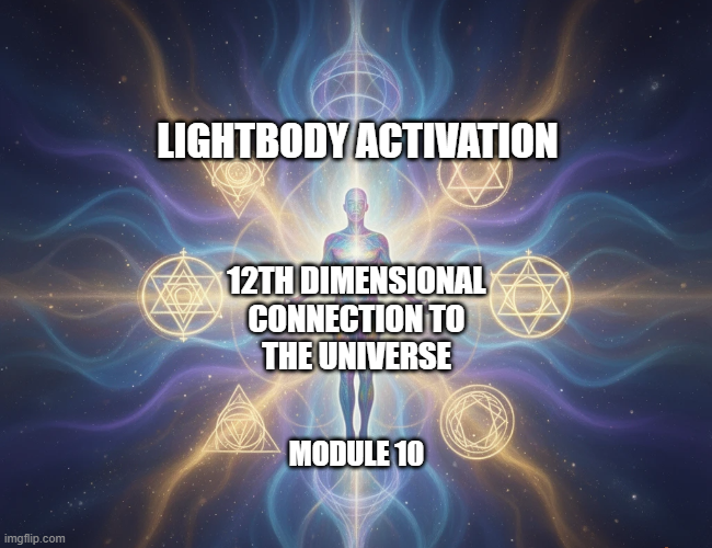 12th Dimension Universal Grid Hook Up Module 10