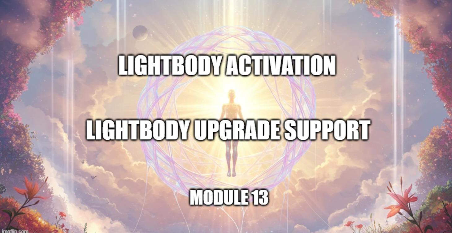 Lightbody Upgrade Support Module 13