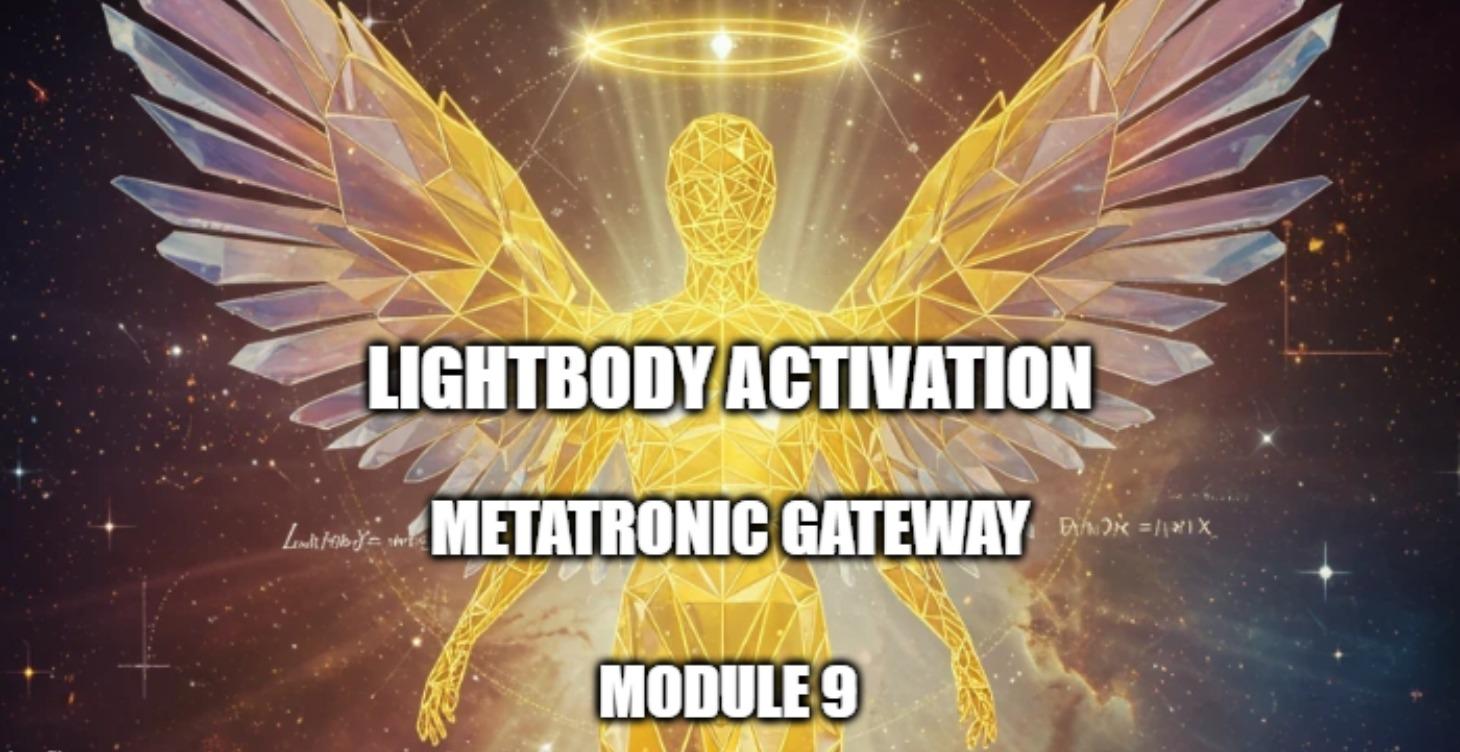 Metatronic Gateway Module 9