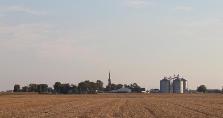 Micah, Cattle Crosses and Corn