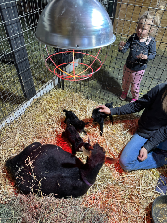 We had 3 kids... 🤯