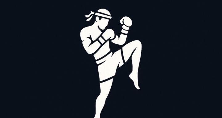 The Fighters Blueprint