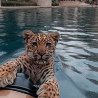 Өсөх-Ирээдүй Оюунбаатар