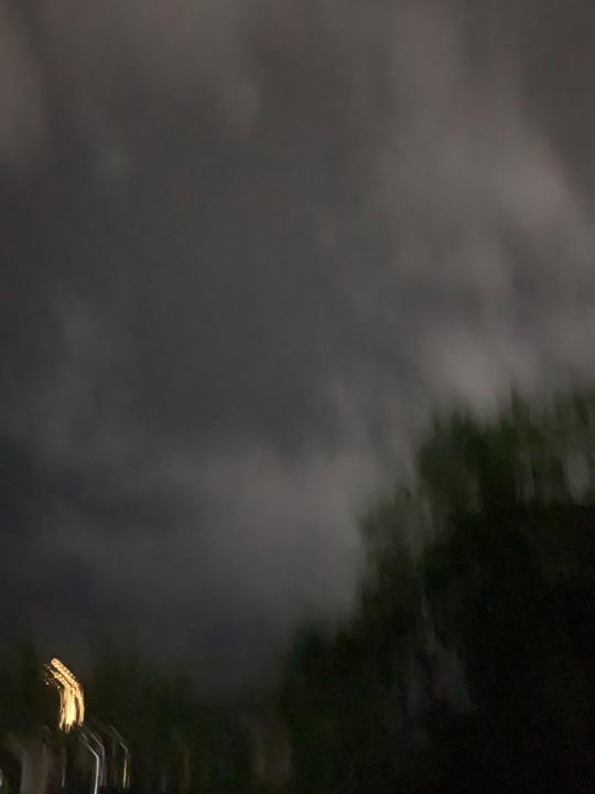 Баярцэцэг N