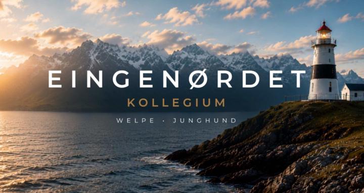 EINGENØRDET KOLLEGIUM