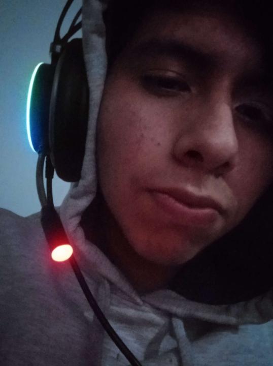 Jerson Flores Arias