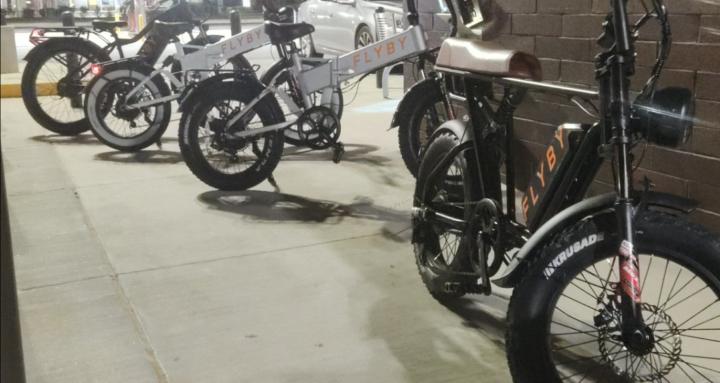 E-Rides & Rental Models