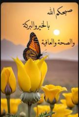 Bouchaib Ahmed