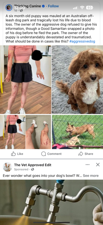 Why We Don’t Recommend Dog Parks 