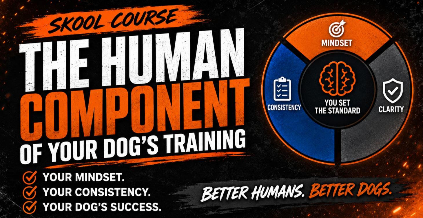 The HUMAN Component Of Your Dog's Training