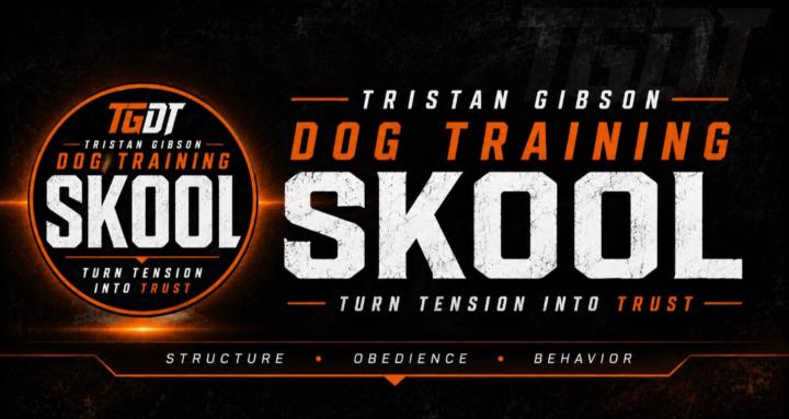 Tristan Gibson Dog Training