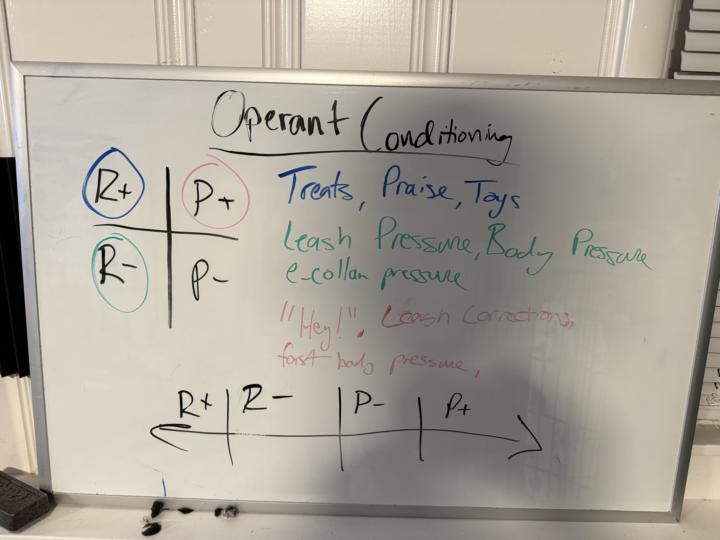 Operant conditioning in a nutshell