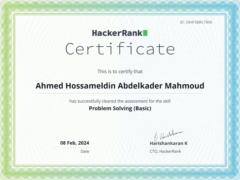 Ahmed Hossameldin Mahmoud