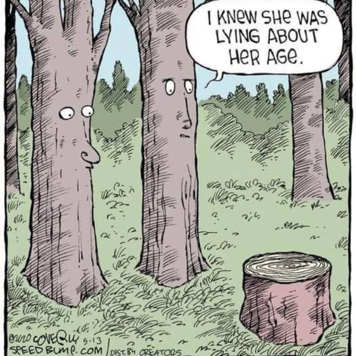 Jokey joke