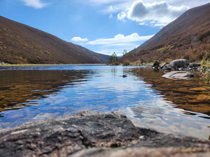 Where's your favourite green space?