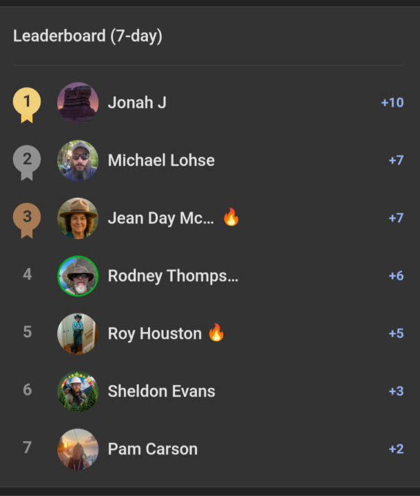 Leaderboard honour roll 🎖️