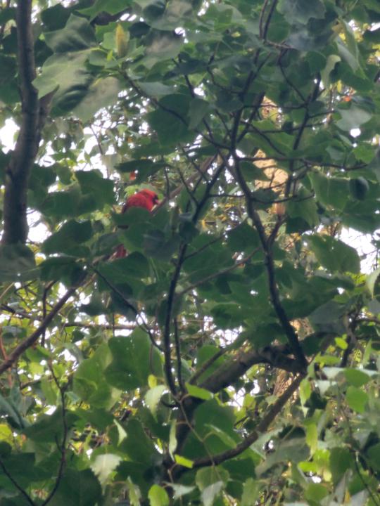Recalibrate on a branch