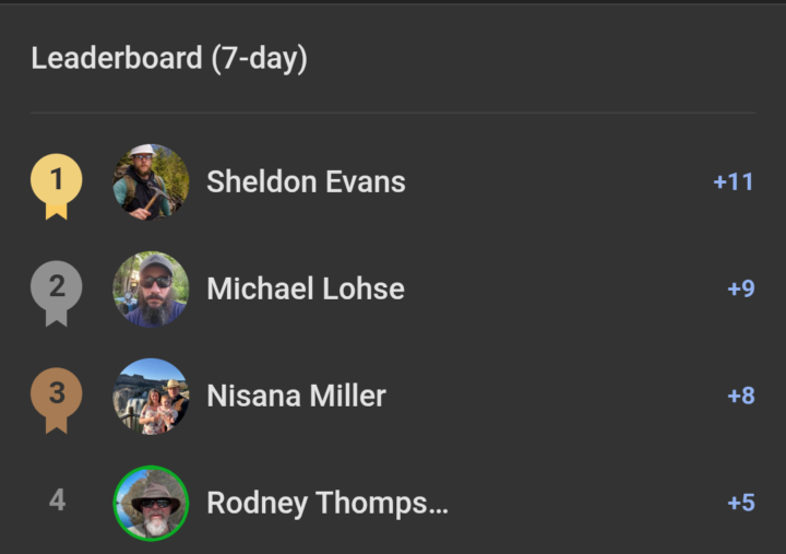 Leaderboard honour roll 🎖️