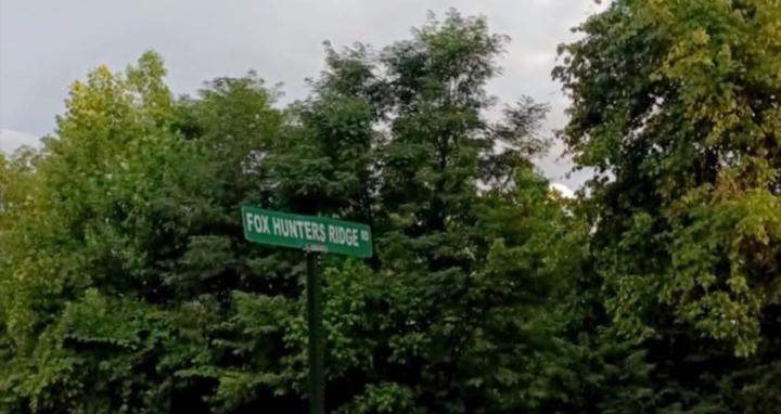 Savanna Ferguson Kitchen