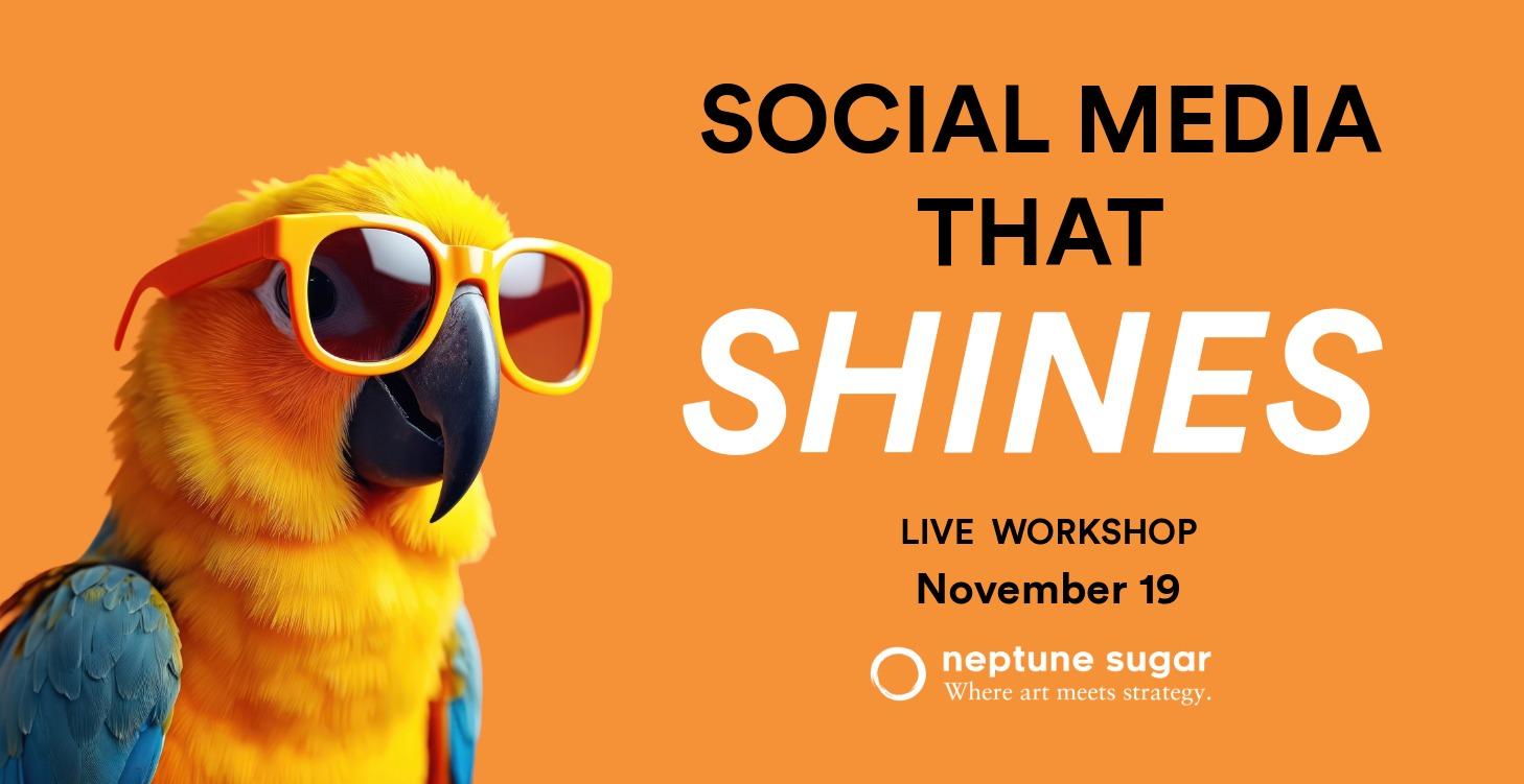 Nov. 19: Social Media that Shines