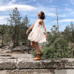 Sierra F