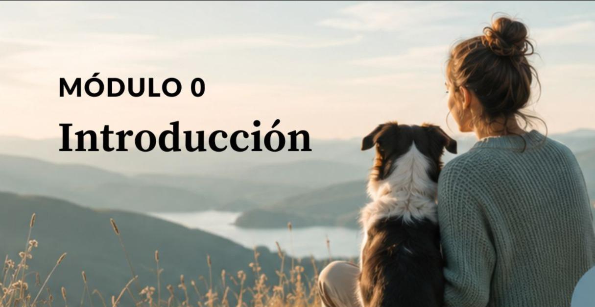MODULO 0 GRATUITO - INTRODUCCIÓN
