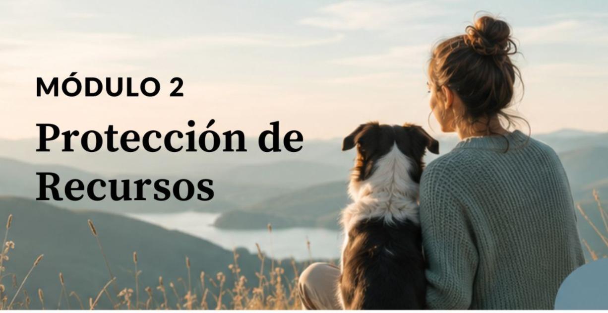 Protección de Recursos