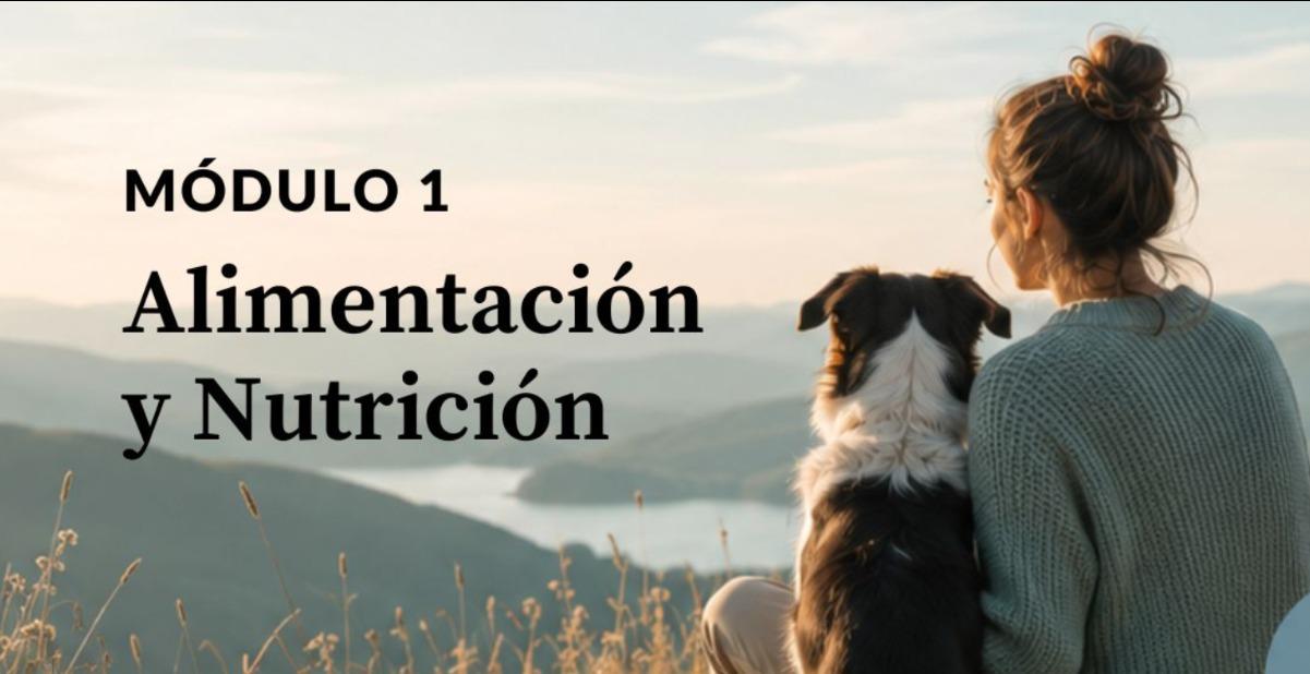 Alimentación y Nutrición