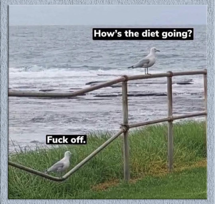 Ever had one of those days ....