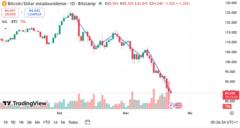 Matias Pedrozo Gastardello