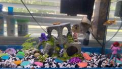 Prasanna Bharathi Mamidoju