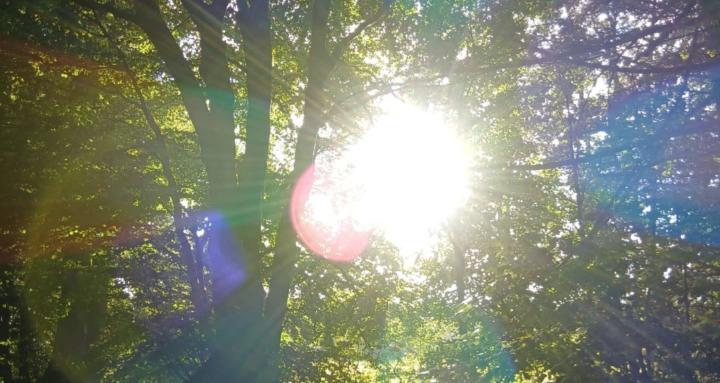 Curanderos und Lightworker