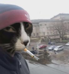 Kuba B